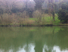 PEG 55 Pictures